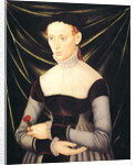 Woman with a Carnation by Lucas the Elder Cranach
