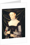 Woman with a Carnation by Lucas the Elder Cranach