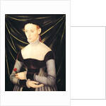 Woman with a Carnation by Lucas the Elder Cranach