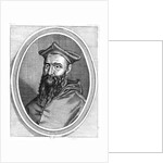 Portrait of Jean du Bellay by French School