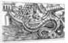 A Sea Serpent by Italian School