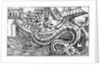 A Sea Serpent by Italian School