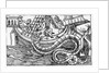 A Sea Serpent by Italian School