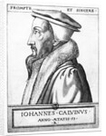 Portrait of John Calvin aged 53, 1564 by French School