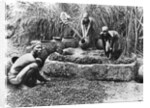 Making palm oil in Dahomey, c.1900 by French Photographer