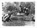 Making palm oil in Dahomey, c.1900 by French Photographer