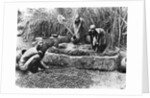 Making palm oil in Dahomey, c.1900 by French Photographer