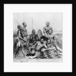 Warriors, Belgian Congo, 1894 by French Photographer