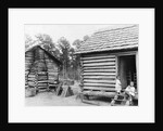 Log cabins in Thomasville, Florida, c.1900 by American Photographer