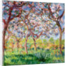 Springtime in Giverny, 1903 by Claude Monet