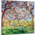 Springtime in Giverny, 1903 by Claude Monet