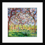 Springtime in Giverny, 1903 by Claude Monet