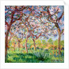 Springtime in Giverny, 1903 by Claude Monet