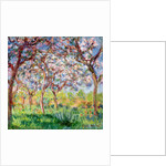 Springtime in Giverny, 1903 by Claude Monet