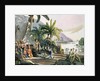 Meeting between the Expedition Party of Otto von Kotzebue and King Kamehameha I Ovayhi Island by Ludwig Choris