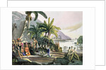 Meeting between the Expedition Party of Otto von Kotzebue and King Kamehameha I Ovayhi Island by Ludwig Choris