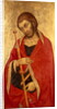 St. James the Great by Taddeo di Bartolo