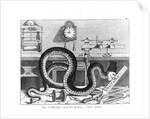 Fable of the Snake and the Files by German School