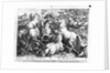 Horses in the wild by Jan van der (1523-1605) (after) Straet