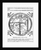 Beatus of Turin mappamundi by Italian School
