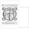 Beatus of Turin mappamundi by Italian School