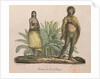 Inhabitants of Easter Island, 1822 by Ludwig Choris