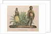 Inhabitants of Easter Island, 1822 by Ludwig Choris