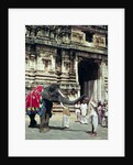 A man being blessed by an elephant at Varadarajaswamy Temple by Anonymous