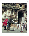 A man being blessed by an elephant at Varadarajaswamy Temple by Anonymous