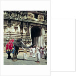 A man being blessed by an elephant at Varadarajaswamy Temple by Anonymous