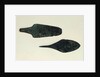 Two daggers, 2000-1800 BC by Prehistoric