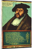 Portrait of John I the Steadfast, Elector of Saxony, c.1533 by Lucas the Elder Cranach