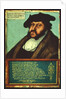 Portrait of John I the Steadfast, Elector of Saxony, c.1533 by Lucas the Elder Cranach