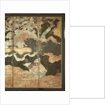 Sunny Landscape by School Japanese