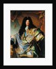 Portrait of Philippe de Courcillon Marquis de Dangeau, 1702 by Hyacinthe Francois Rigaud
