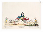 Velocipedes by French School