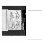 Monkeys by Antonio Pisanello