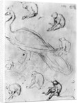 Peacock and Six Monkeys by Antonio Pisanello