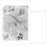 Peacock and Six Monkeys by Antonio Pisanello