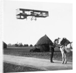 Flight by Henri Farman from Chalons to Reims by French Photographer