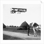 Flight by Henri Farman from Chalons to Reims by French Photographer