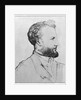Portrait of Jules Verned by French School