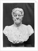 Bust of Madame Marie Laurent by Aime Jules Dalou