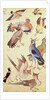 Ten Birds by Indian School