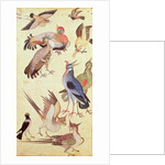 Ten Birds by Indian School