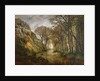 The Erdre, Winter, 1857 by Charles Leroux