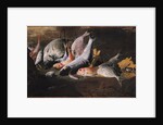 Fish and Crab by Giuseppe Recco