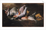 Fish and Crab by Giuseppe Recco