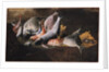 Fish and Crab by Giuseppe Recco