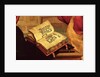 The Virgin's Book by Matthias Grunewald